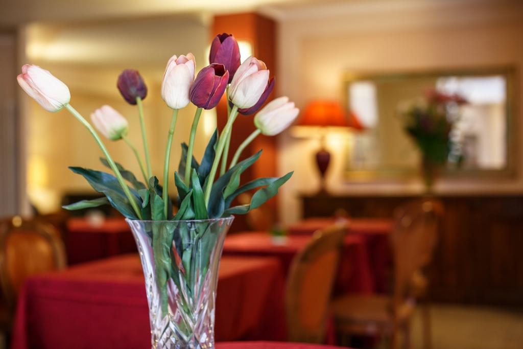 Hotel Daniel Basiano Экстерьер фото
